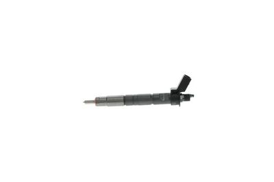 Injector Nozzle Bosch 0445116024