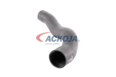 FURTUN EAR SUPRAALIMENTARE ACKOJA A379600 21