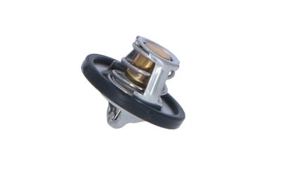 TERMOSTAT LICHID RACIRE NRF 725187 27