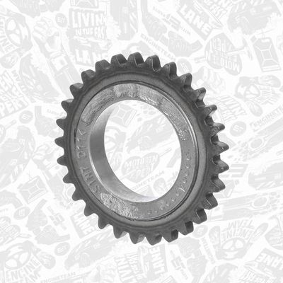 ROATA DINTATA ARBORE COTIT