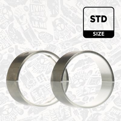 SET RULEMT ARBORE COTIT ET ENGINETEAM LH005300 2