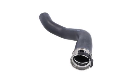 FURTUN EAR SUPRAALIMENTARE