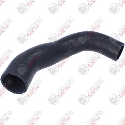 FURTUN EAR SUPRAALIMENTARE BIRTH 55887