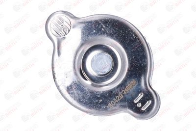 BUSON RADIATOR BIRTH 80429 1