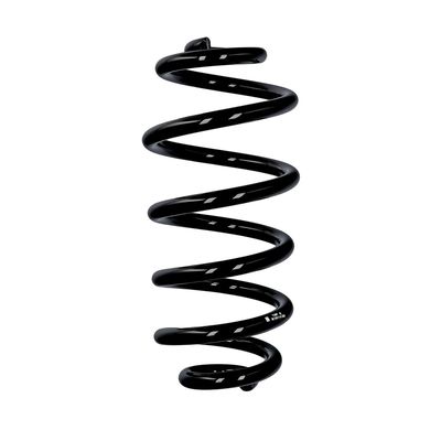 ARC SPIRAL EIBACH R10114 25