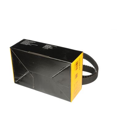 SET CUREA DE DISTRIBUTIE ET ENGINETEAM RM0019 22