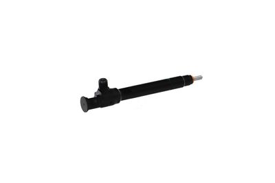 INJECTOR REMANTE 002003002153R 33