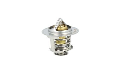 TERMOSTAT LICHID RACIRE NRF 725484 36