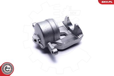 Brake Caliper 42SKV791