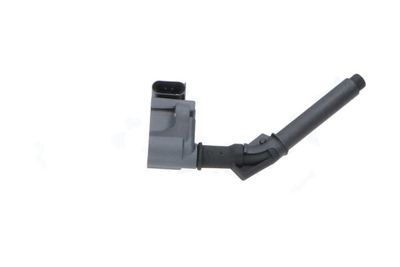 Kavo Parts Ritė, uždegimas