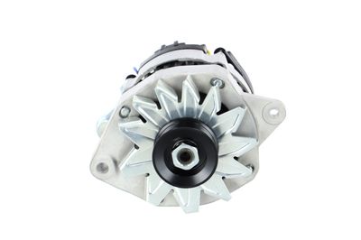 GENERATOR / ALTERNATOR REMANTE 011003000081R 61