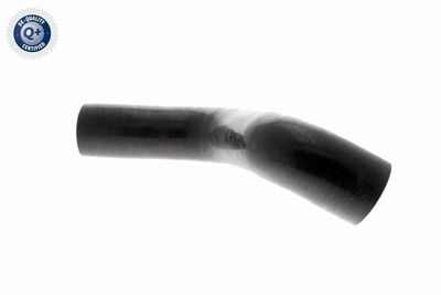 FURTUN EAR SUPRAALIMENTARE VAICO V460743 6