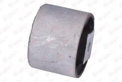 SUPORT MOTOR BIRTH 53418 11