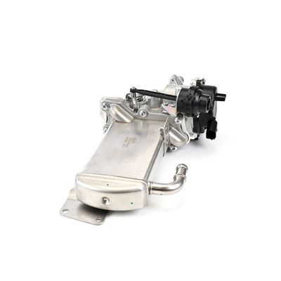 SUPAPA EGR DELPHI EG1058412B1 8