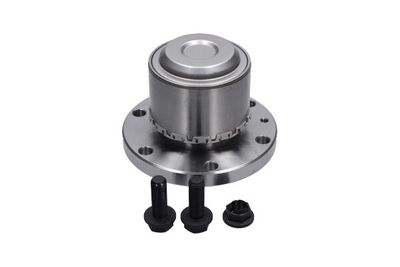 Kavo Parts Rato guolio komplektas