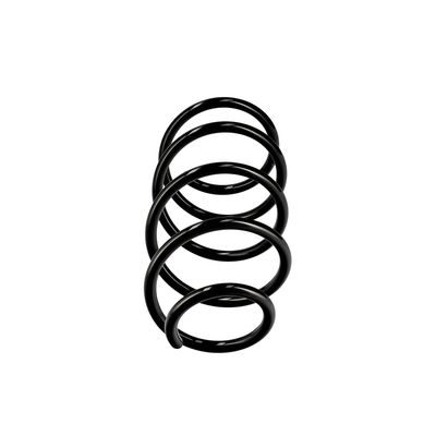 ARC SPIRAL EIBACH R10246 1