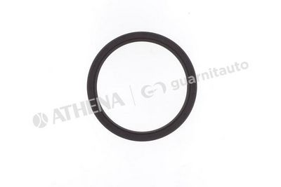 SIMERING ARBORE COTIT