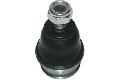 Kavo Parts Šarnyras / girgždukas