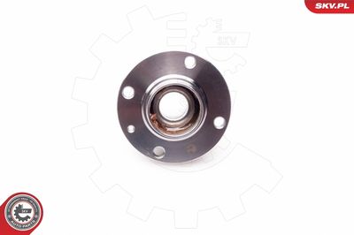 Wheel Bearing Kit 29SKV043