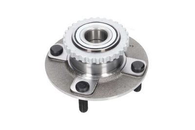 SET RULMENT ROATA Kavo Parts WBH3008 8