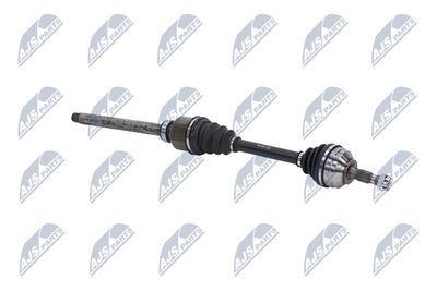 PLANETARA NTY NPWPE081 10