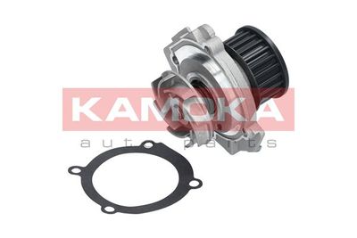 Water Pump, engine cooling T0114