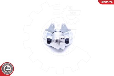 Brake Caliper 45SKV311