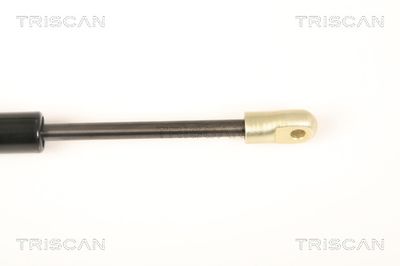 AMORTIZOR PORTBAGAJ TRISCAN 871020201 2