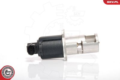 EGR Valve 14SKV009