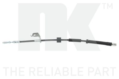 FURTUN FRANA NK 854859