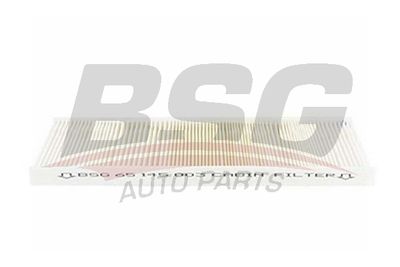 BSG BSG 65-145-003 Фильтр салона  для CHEVROLET  (Шевроле Вектра)