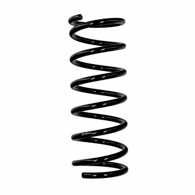 ARC SPIRAL EIBACH R10118 25