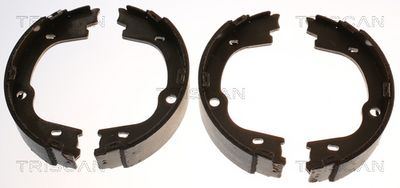 TRISCAN Bremsbackensatz, Feststellbremse