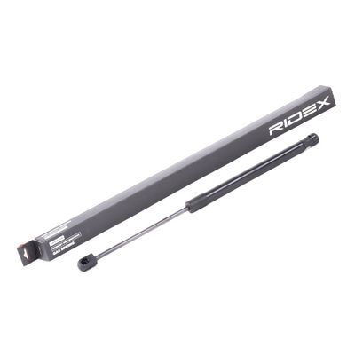 газов амортисьор, багажно/товарно пространство RIDEX 219G0904