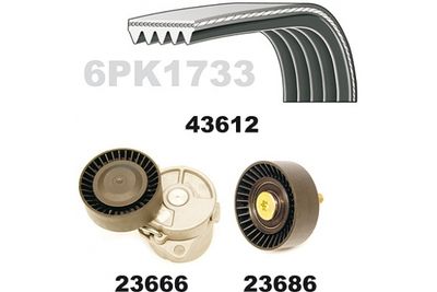 SET CUREA TRANSMISIE CU CANELURI