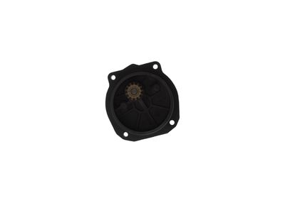BOSCH Kraftstoffpumpe