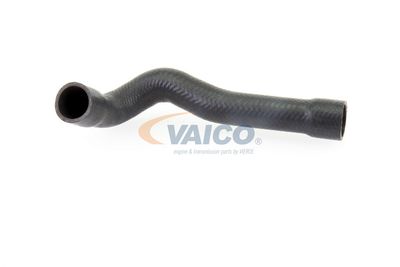 FURTUN RADIATOR VAICO V201243 2