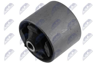 SUPORT MOTOR NTY ZPSKA315 1