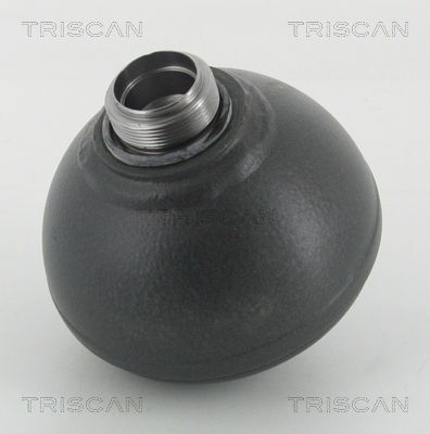 TRISCAN Druckspeicher, Federung/Dämpfung