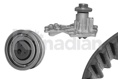 Водяной насос + комплект зубчатого ремня K'nadian KWP017 для VW CORRADO