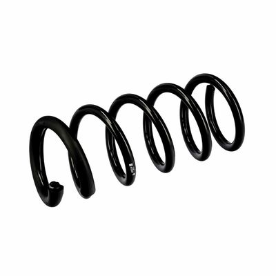 ARC SPIRAL EIBACH R10661 5