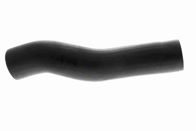 FURTUN EAR SUPRAALIMENTARE ACKOJA A529600 5