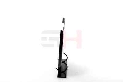 PROTECTIE STROPIRE DISC FRANA GH GH489961H 46