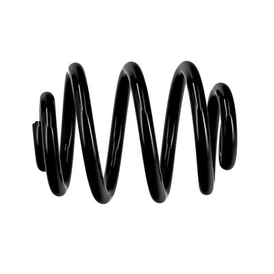 ARC SPIRAL EIBACH R10087 19