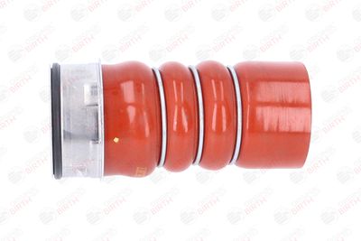 FURTUN EAR SUPRAALIMENTARE BIRTH 55674 12