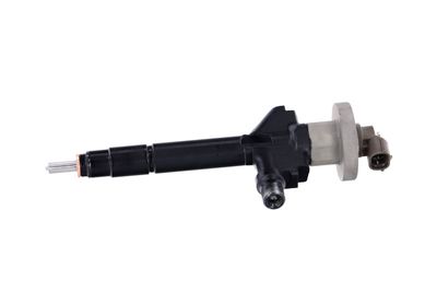 INJECTOR REMANTE 002003000191R 10