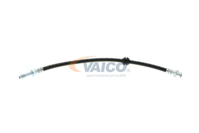 FURTUN FRANA VAICO V204107 2