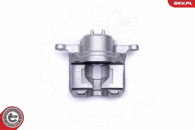 Brake Caliper 50SKV481