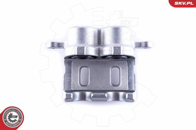 Brake Caliper 55SKV521