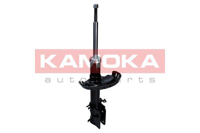 Shock Absorber 2000524